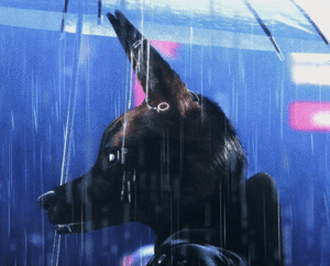 Capture d'écran 2025-10-17 232723