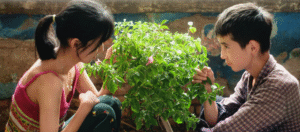 Capture d'écran 2025-10-18 190230