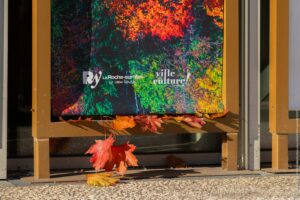 FanetteWengert-Automne-affichagerue-6