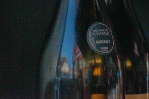 Gabriel Gavard - reflet - bus-7