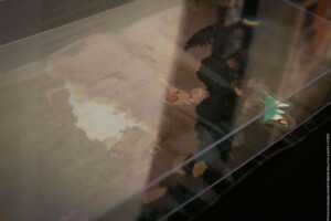 LalyVié-reportage-reflet-3