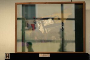 Reflet - Expo secret des mésanges - Lucas Baudry-2