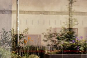 Reflet - Expo secret des mésanges - Lucas Baudry-6