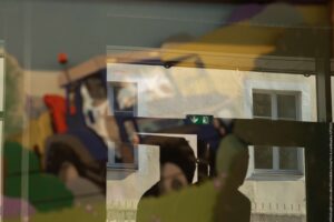 Reflet - Expo secret des mésanges - Lucas Baudry-8