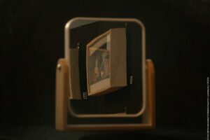 Reflet - Expo secret des mésanges - Lucas Baudry 9