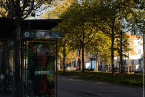ZoélyaBlotièreBaa-automne-affichagerue-mercredi-4