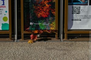 ZoélyaBlotièreBaa-automne-affichagerue-mercredi-6