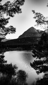IMG-20261014-WA0052
