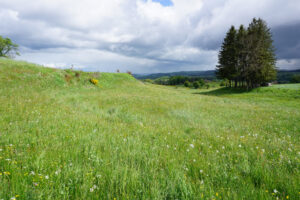 IPAMAC_Mieux-comprendre-ma-prairie